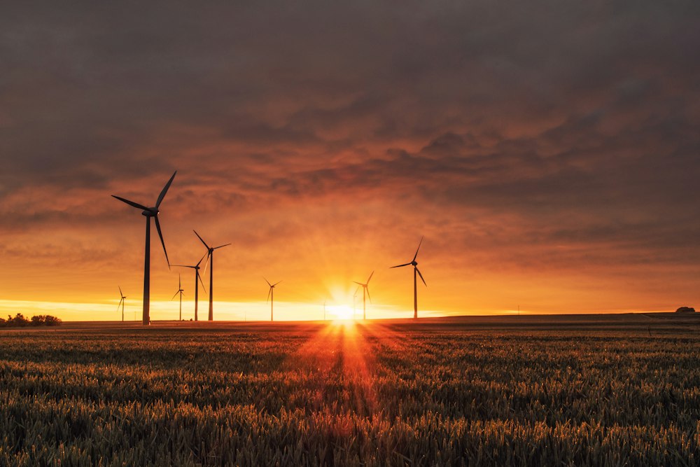 Micro-grids ruraux Lualaba
